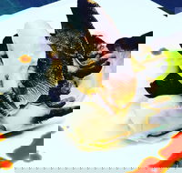 Dumpling Yum Cha Ballina