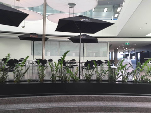 Plank Kitchen & Bar - Tourism Cairns 0