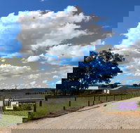 Short Sheep Micro-Winery - Tourism Cairns