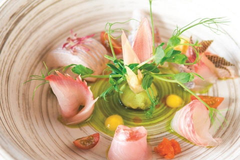 TARA SUSHI BAR - Tourism Cairns 0