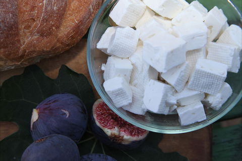 The Cheese Maker - Tourism Cairns 1