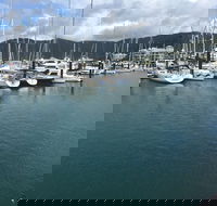 Whitsunday Sailing Club - Tourism Cairns