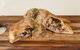 25acres Pizza Pasta Cafe - thumb 1