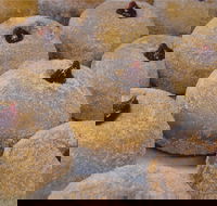 Miami Bakehouse Mandurah - Tourism Cairns