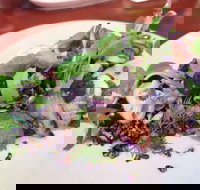 YaYa Bar and Eatery - Tourism Cairns