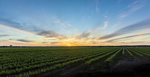 Atze's Corner Wines - Tourism Cairns 2