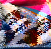 Donut King - Sunshine - Tourism Cairns