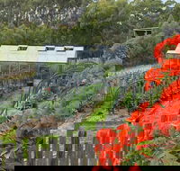 Hot Chilli Mama - Tourism Cairns