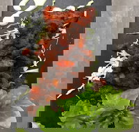 Le Wrap - Prairiewood - Tourism Cairns