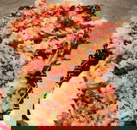 Moka Sushi - Tourism Cairns