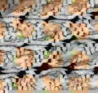 Sushi Pia - Tourism Cairns