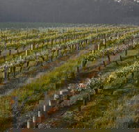 Cape Grace Wines - Tourism Cairns