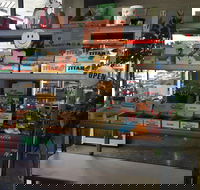 Maestral - Tourism Cairns