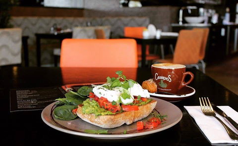 Treehouse Café - Tourism Cairns 0