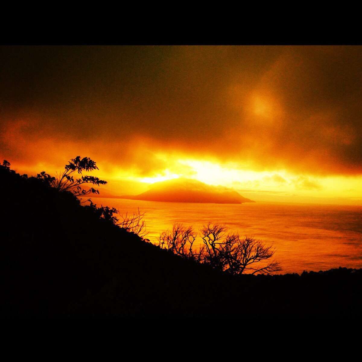 Blackbull ACT Tourism Cairns