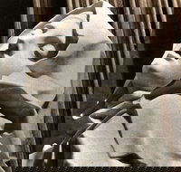 KFC - Joondalup - Tourism Cairns