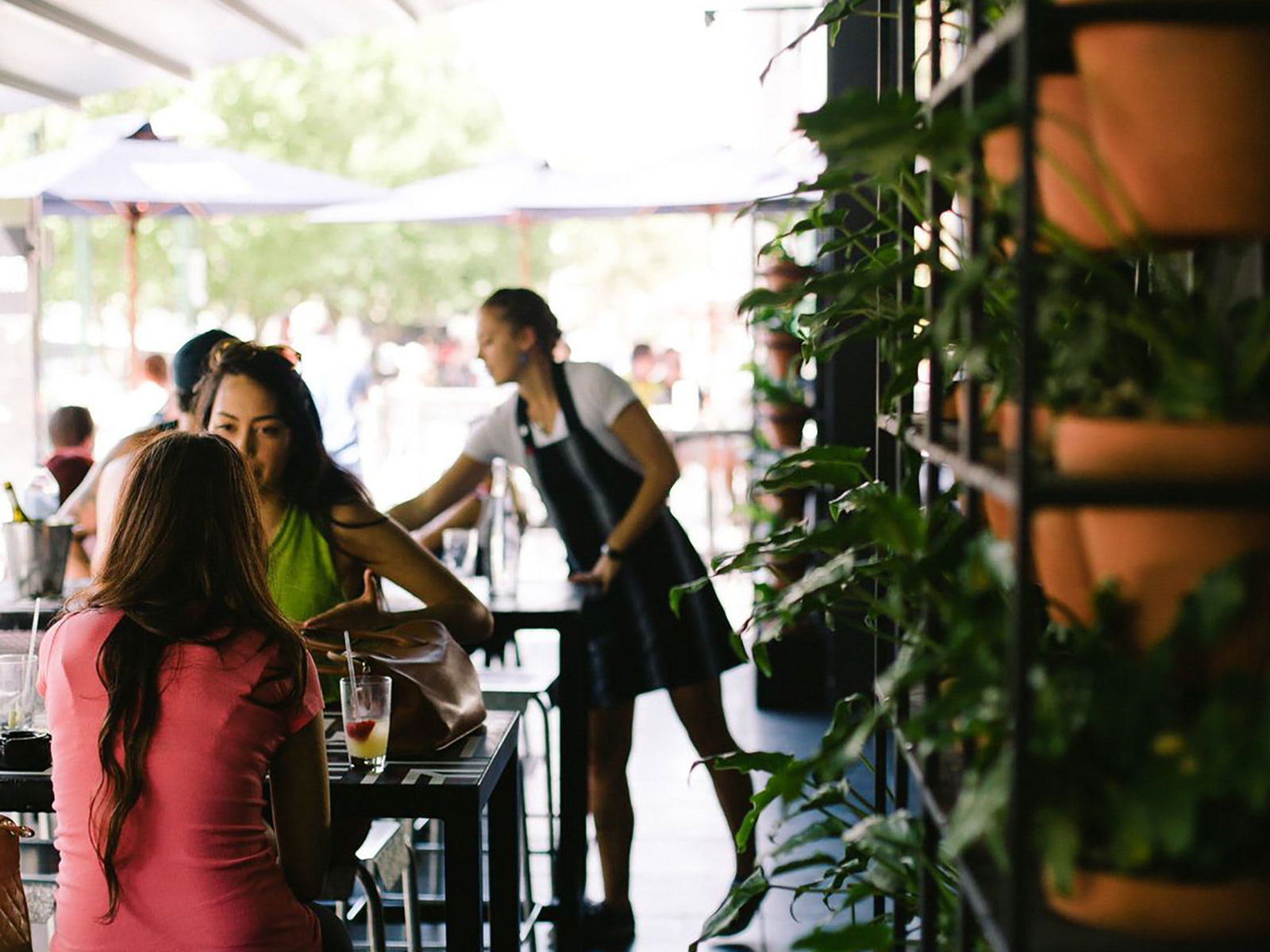 Southbank VIC Tourism Cairns