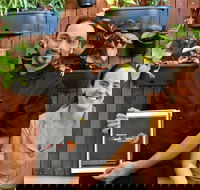 Masala Fusion - Tourism Cairns