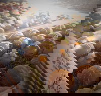 Pompadours Chocolate House - Tourism Cairns