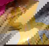 Red Rooster - Joondalup - Tourism Cairns