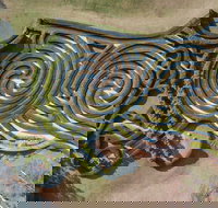 Bago Maze and Wine - Tourism Cairns