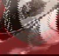 Burrundulla Vineyards - Tourism Cairns