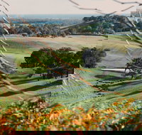 Green Door Winery Cellar Door - Tourism Cairns