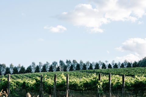 Passing Clouds - Tourism Cairns 1