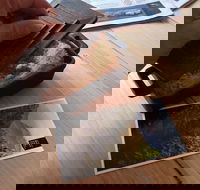 Story So Far - Tourism Cairns