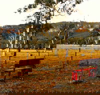 The Megalong Valley Tearooms - Tourism Cairns