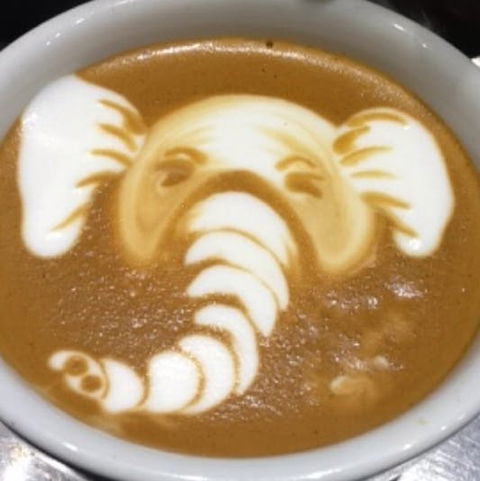 Cafenatics - Southbank - Tourism Cairns 0