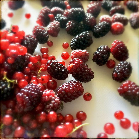 Gentle Annie Berry Gardens - Tourism Cairns 1