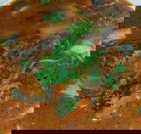 Left Bank Melbourne - Tourism Cairns