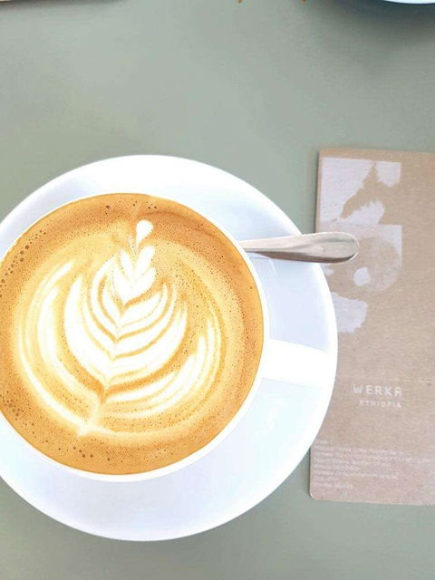 Light Coffee - Tourism Cairns 0