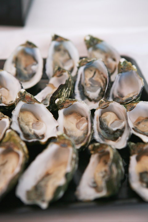 S.D. Caputo And Sons - Tourism Cairns 0