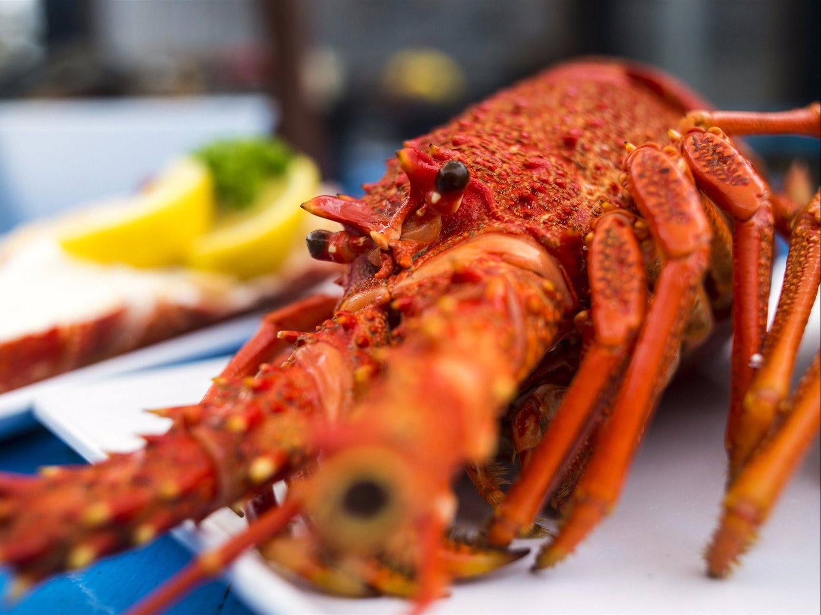 Coles Bay TAS Tourism Cairns