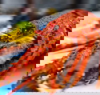 Freycinet Marine Farm - Tourism Cairns