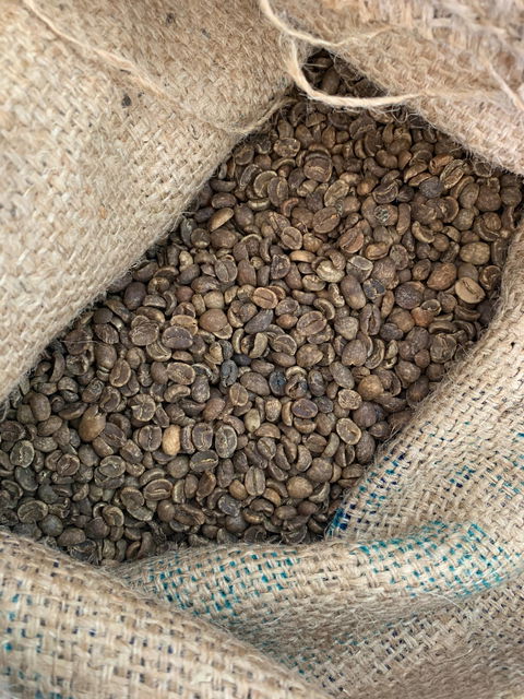 Maverick Coffee House And Roastery - Tourism Cairns 1