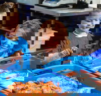 Northern Rivers Seafood