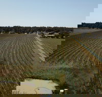 Wine in a Glass - Tourism Cairns