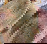 Zaika Tandoor - Tourism Cairns