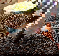 Margaret River Chocolate Company - Metricup - Tourism Cairns