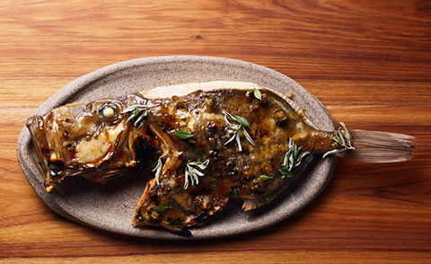 Matilda 159 - Tourism Cairns 0