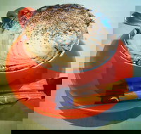 Sunshine Social - Tourism Cairns