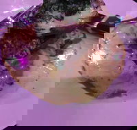 Kokonut Willy's Bar and Grill