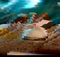 La Cantina - St Leonards - Tourism Cairns