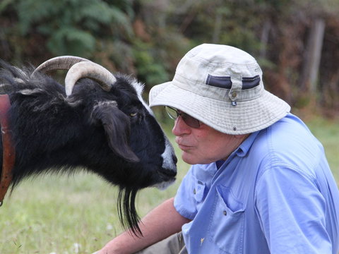 Providence Vineyards - Tourism Cairns 0