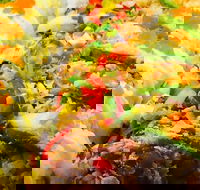 Sushi Street - Tourism Cairns