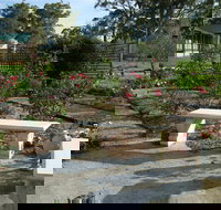 Langdale Farm - Tourism Cairns