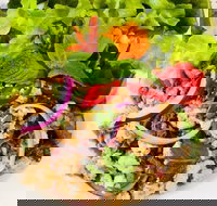 Sushi Rail - Tourism Cairns